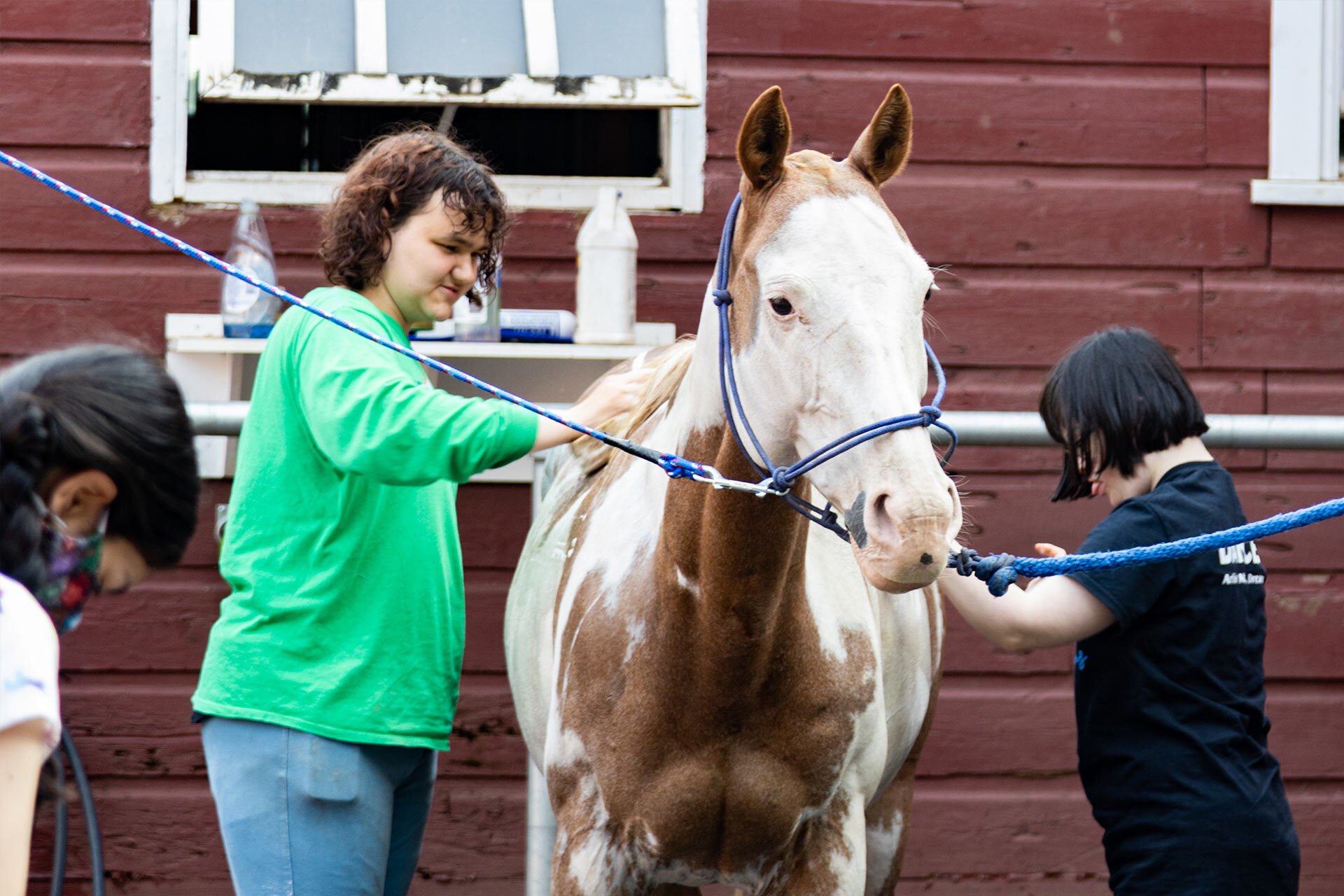 Equine Skills Program