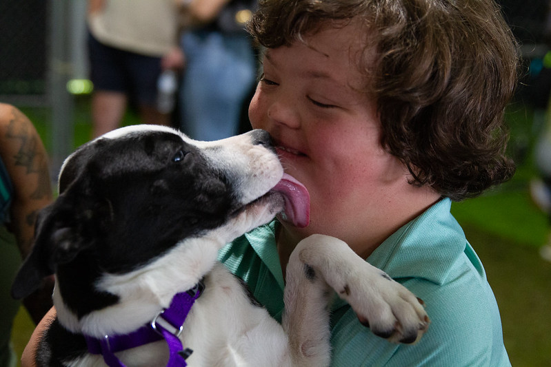 Dream Ride Sponsorships