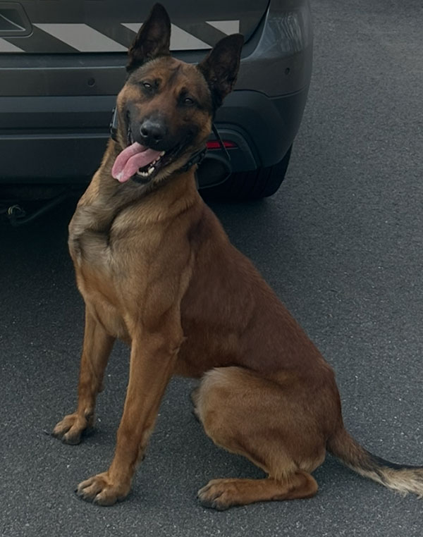K-9 Hyde