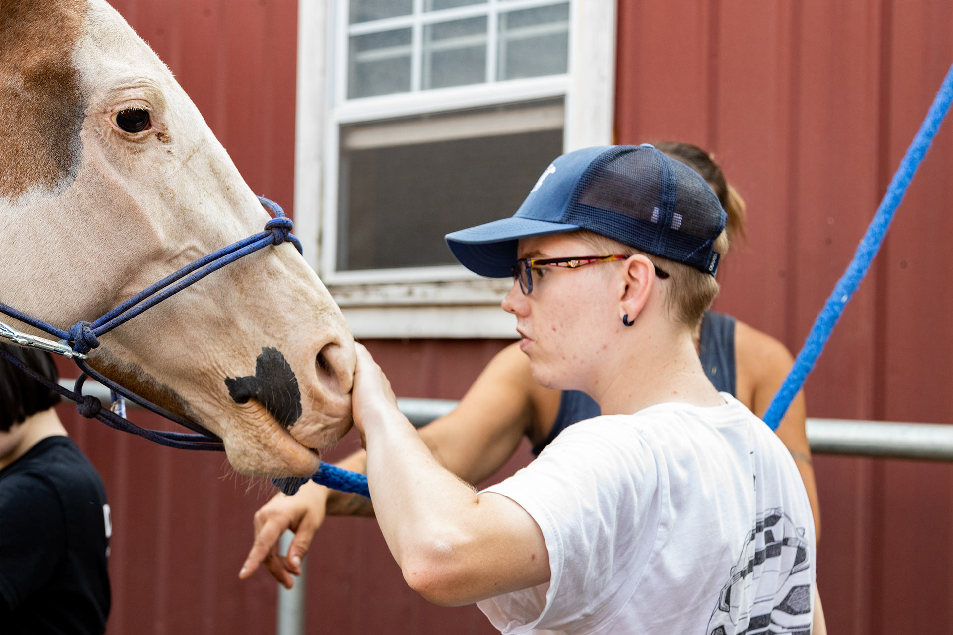 Equine Therapy Program
