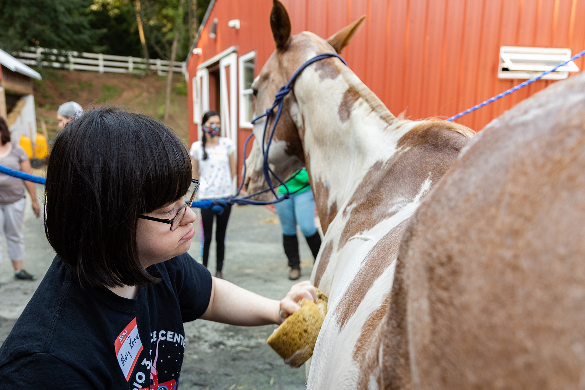 Equine Therapy Program